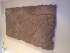 A large, rough-edged rock slab with thin, interwoven lines and cracks displayed on a beige wall, conveying a rustic and natural tone.
